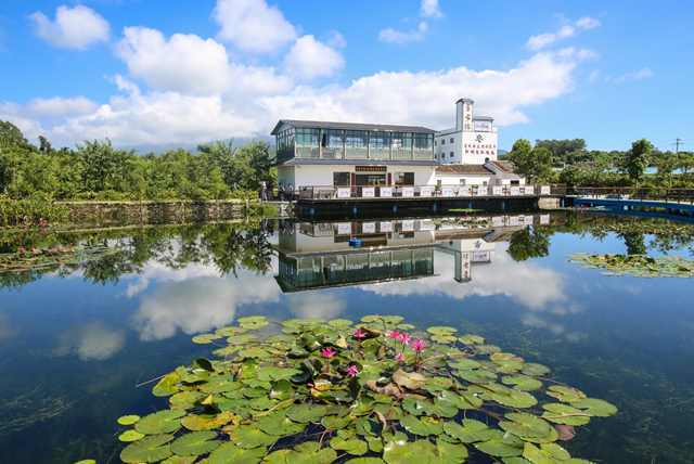 博罗县松树岗村书吧