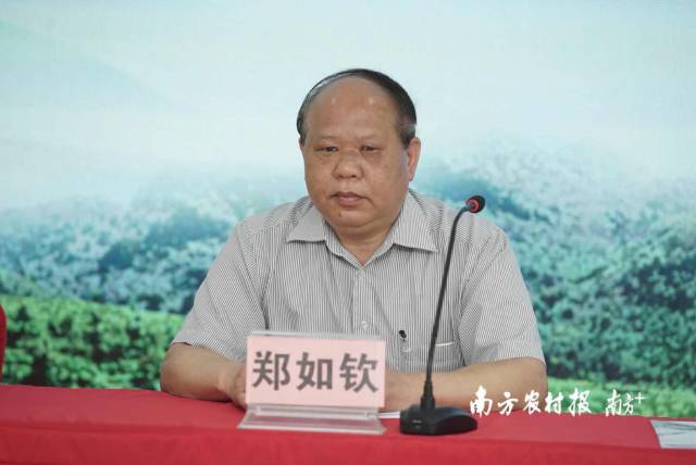 成人网站
乡村产业发展处二级调研员郑如钦