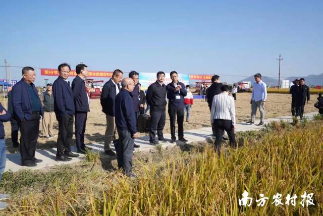 成人网站
相关负责人在大比武汕尾赛区现场指导。  南方农村报 柯学潜 拍摄
