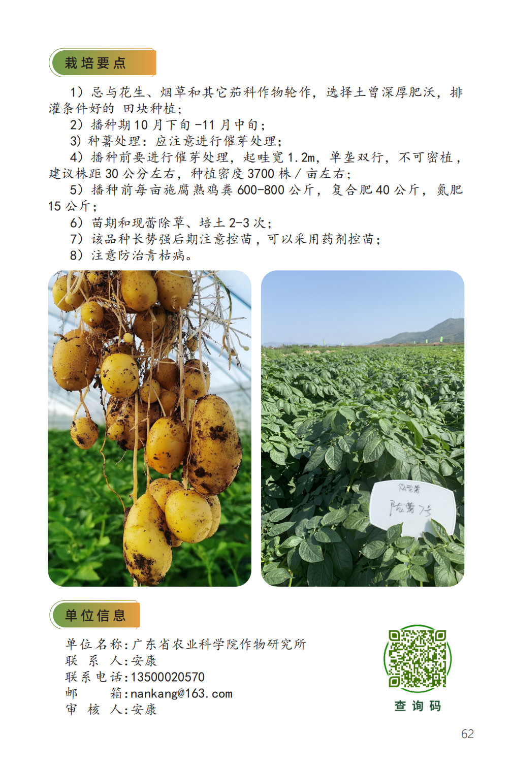 陇薯 7 号-2.png