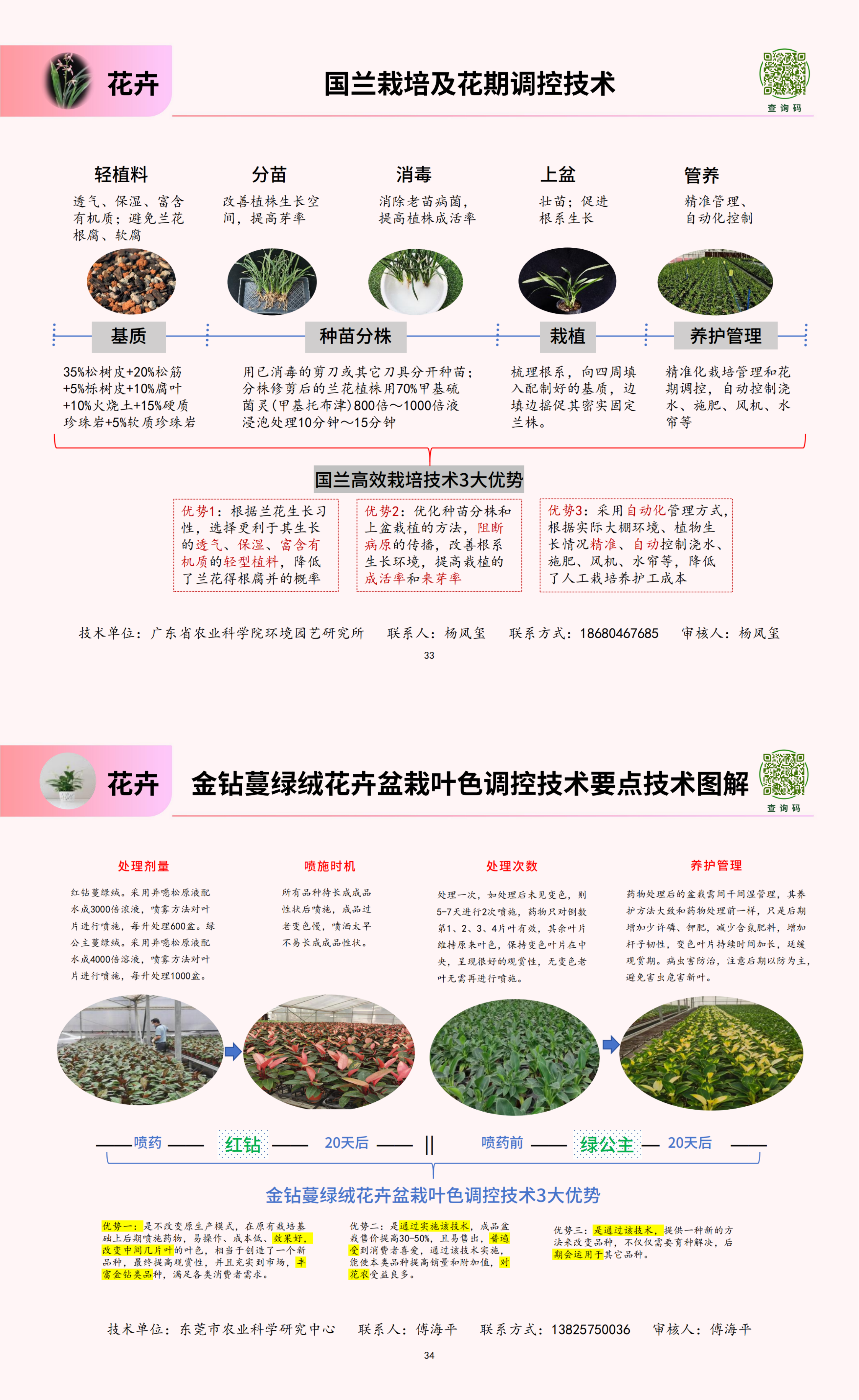 (花卉)主推技术2.png