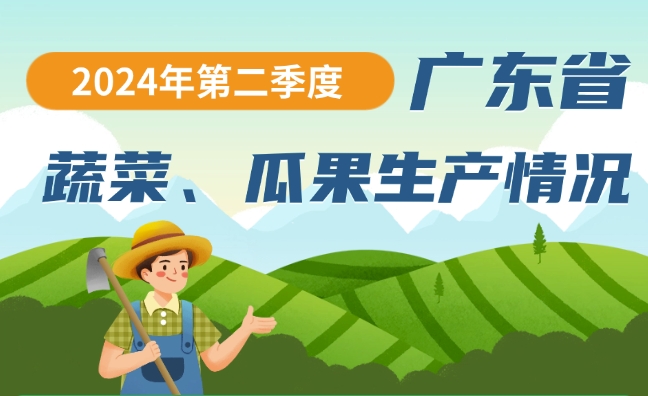 2024年第二季度广东省蔬菜、瓜果生产情况